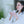 Load image into Gallery viewer, best organic tea loose leaf