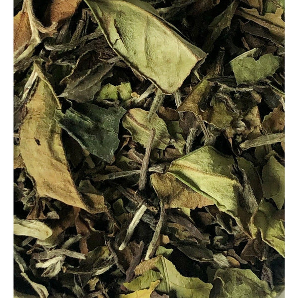 organic white tea pai mu tan loose leaf tea
